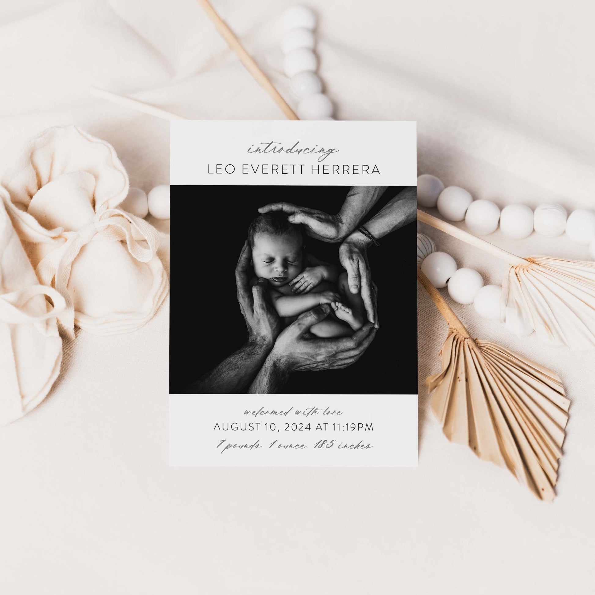 Introducing Me Announcement - Blú Rose