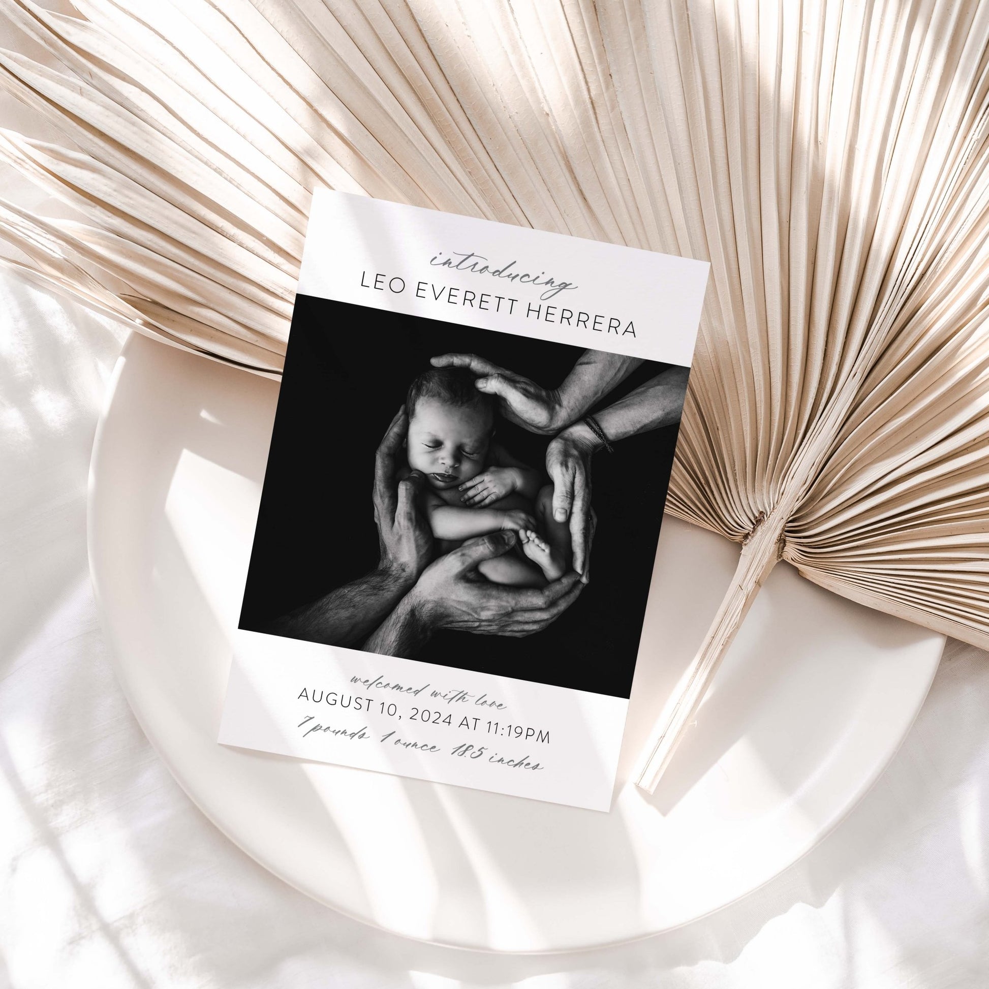 Introducing Me Announcement - Blú Rose