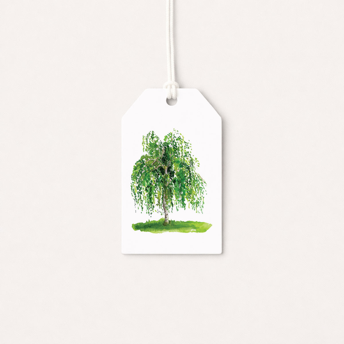 Birch gift tag with a hand-painted watercolor birch tree, hanging from white string on a soft neutral background