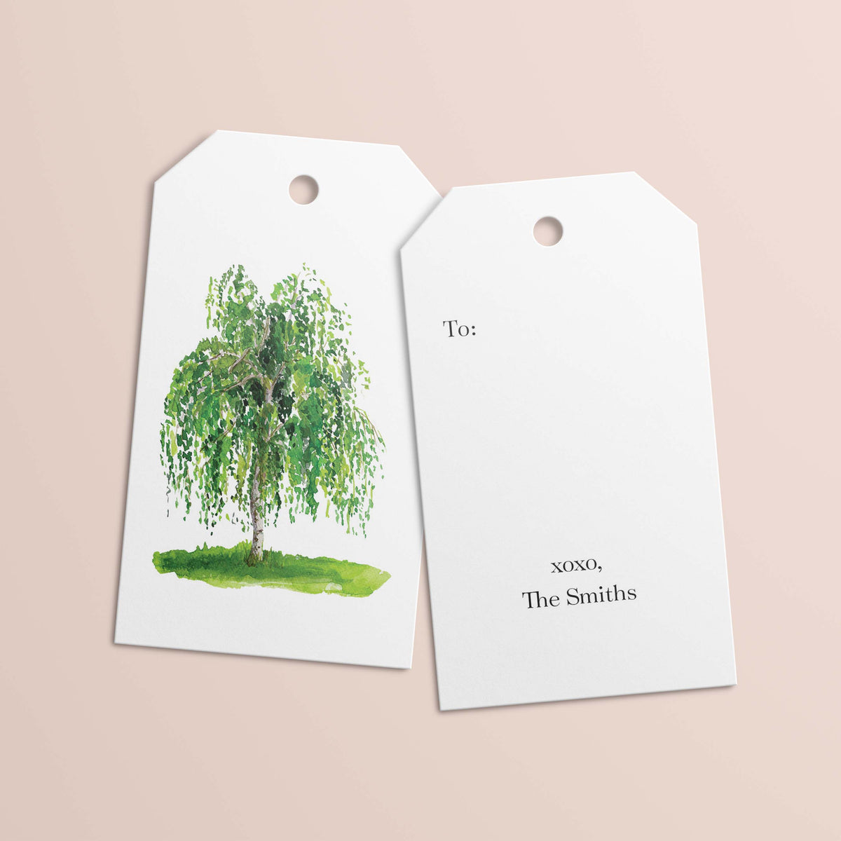 Birch personalized gift tags with a watercolor birch tree on the front and To: and xoxo, The Smiths on the back