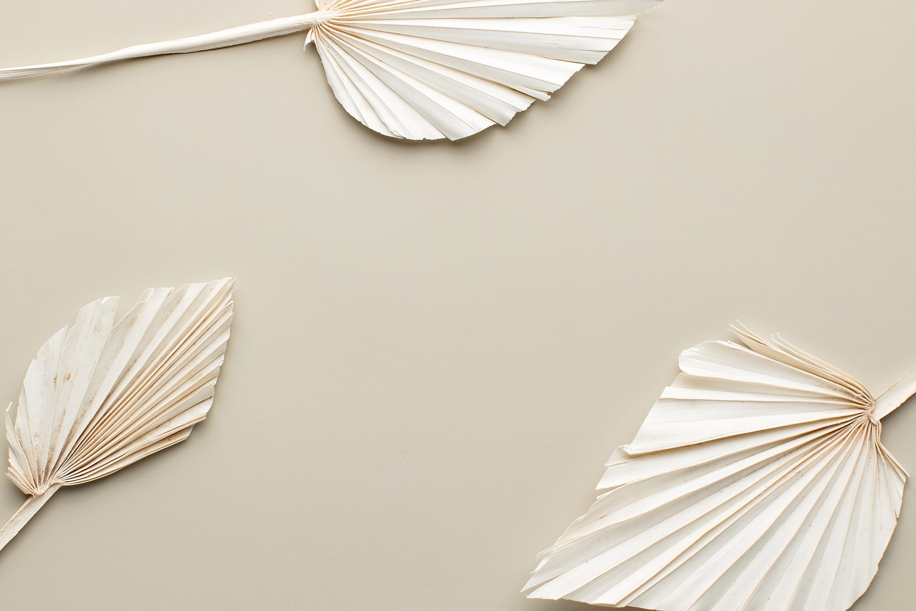 Decorative paper leaf shapes on a beige wall
