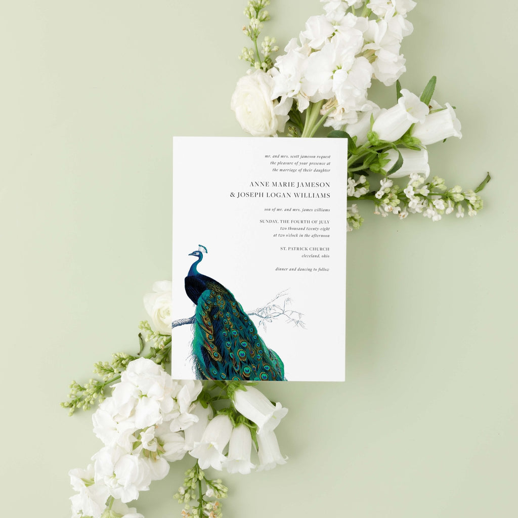 Modern Peacock wedding invitation by Blú Rose, vintage peacock illustration on a white card, styled on a sage background with white blooms